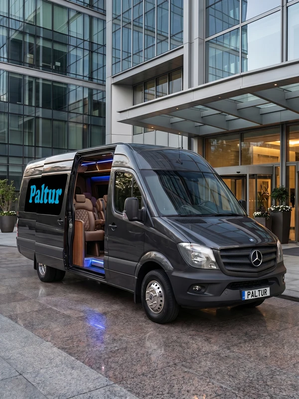 Mercedes-Benz Sprinter VIP